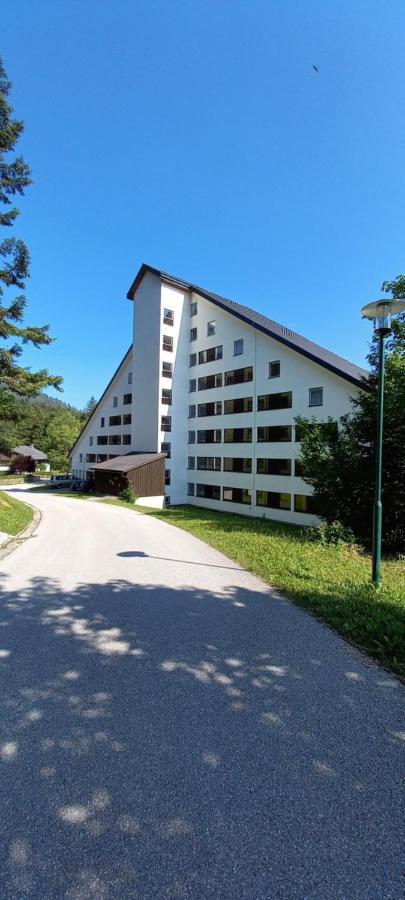 Apartment Kleine Auszeit Bad Mitterndorf Eksteriør bilde